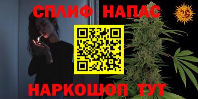 сатива Конаково