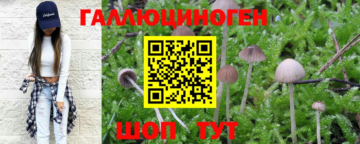 Галлюциногенные грибы мухоморы  Псилоцибиновые грибы GOLDEN TEACHER  Вход с VPN  Узловая 